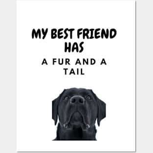 Best friend has FUR and TAIL Posters and Art